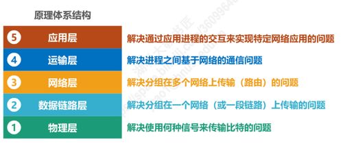 計算機網(wǎng)絡第一章概述小結(jié)與計算機系統(tǒng)服務